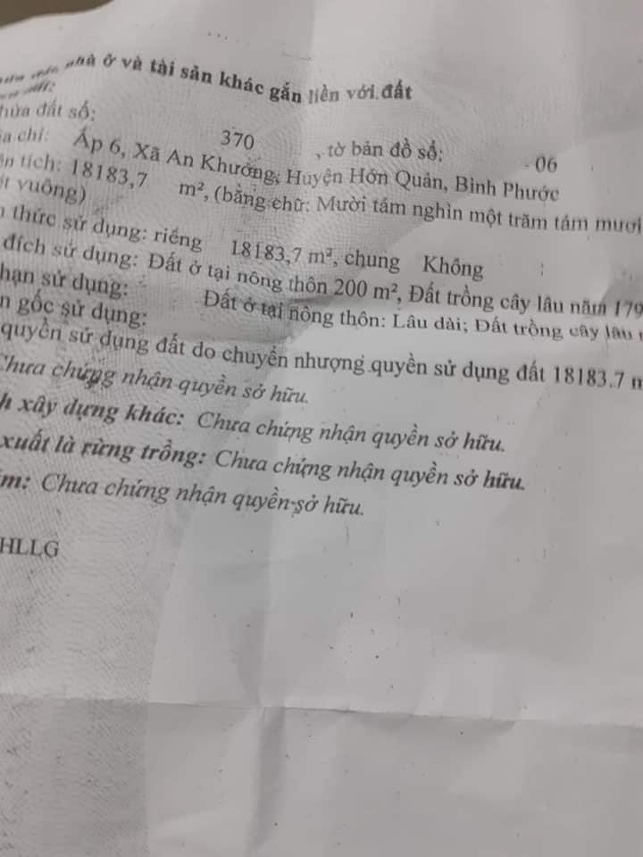 Bán 1,7ha điều bờ đập an khương giá 1,9 tỉ