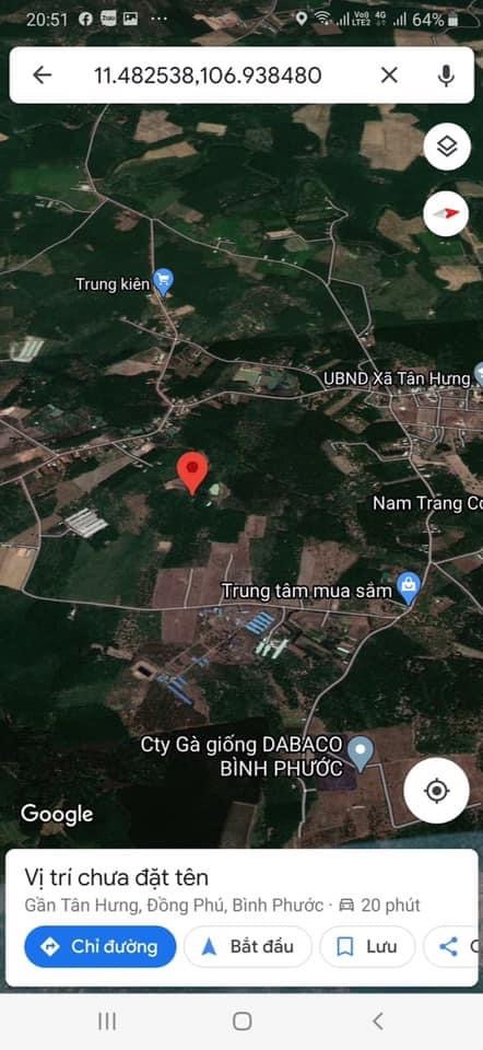 Bán 3,56ha cao su đẹp, đất bằng phẳng ngay UBND Tân Hưng
