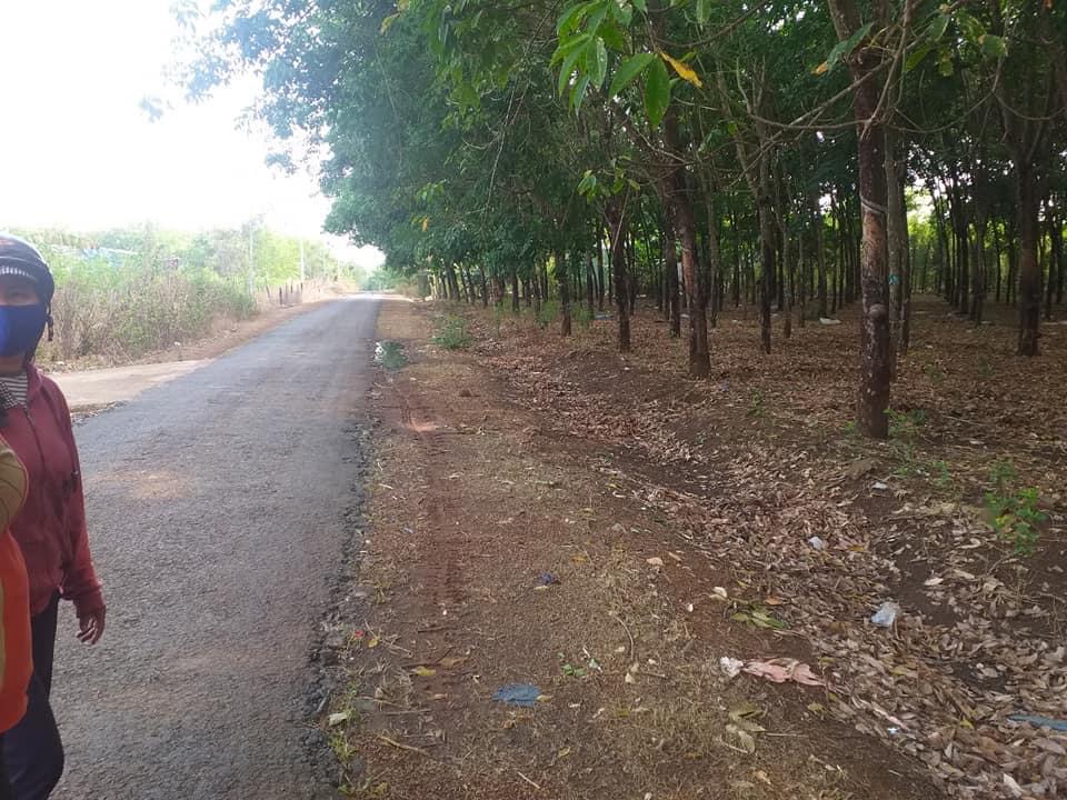 Bán 1,4ha cao su mặt đường bao quanh đất xã an khương giá 3,2 tỉ