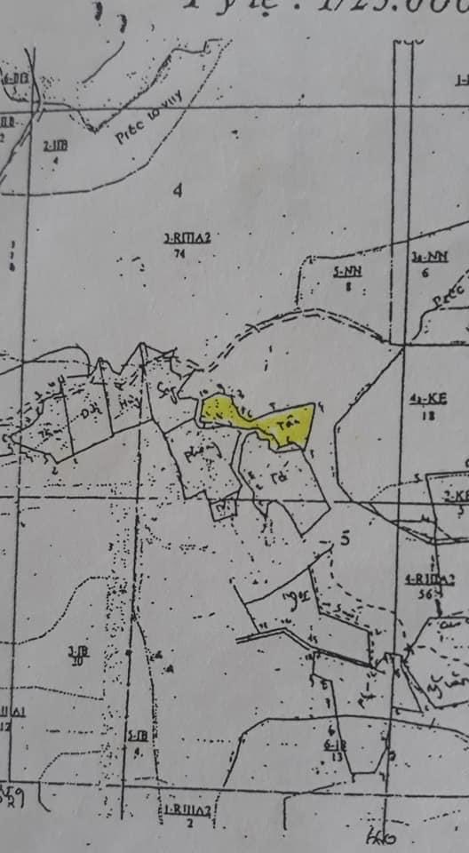 Bán 1,6ha cao su đang cạo sổ xanh lộc thành giá 650tr