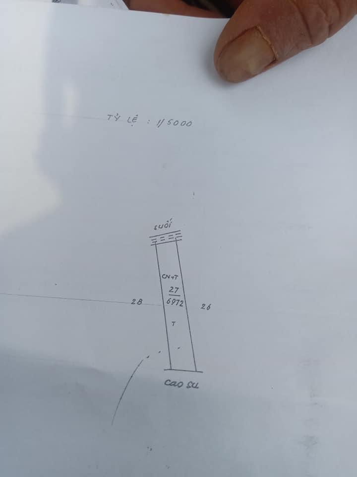 Bán 7 xào điều và cao su giá 1ti 50tr ấp 1b minh đức