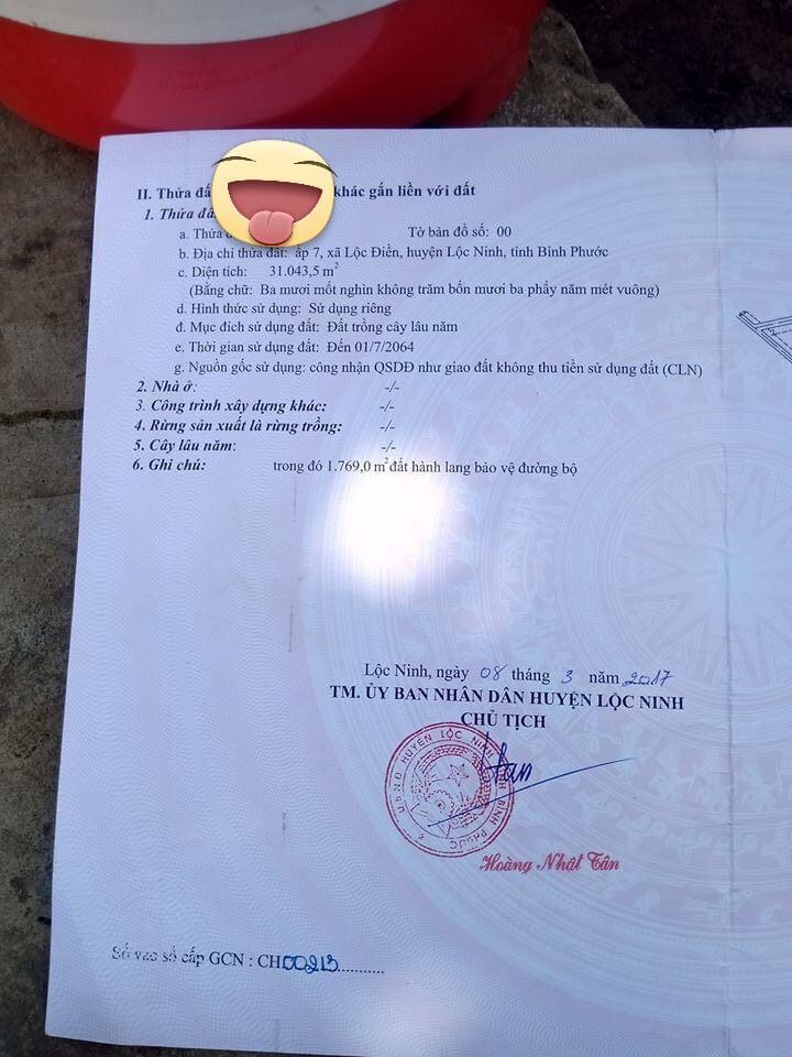 Cần bán gấp 3ha đất trắng sỏi cơm thuộc ấp 7 Lộc Điền thích hợp cho việc đầu tư trang trại