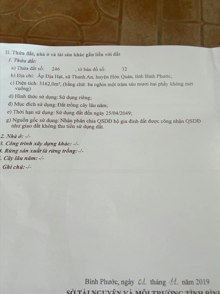 Hai sổ 1,2ha điều thanh an giá 950tr