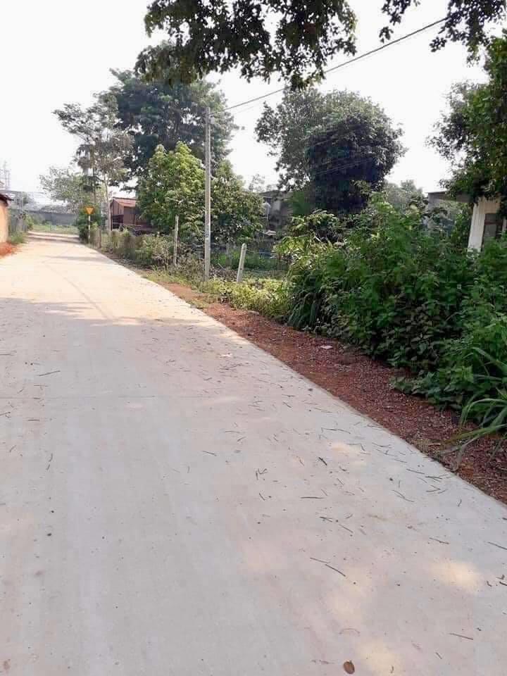 Bán đất Minh Hưng Xác KCN3 bê tông sau lưng DongWA cách đường 32m chỉ 50m giá 720tr dt 7×30
