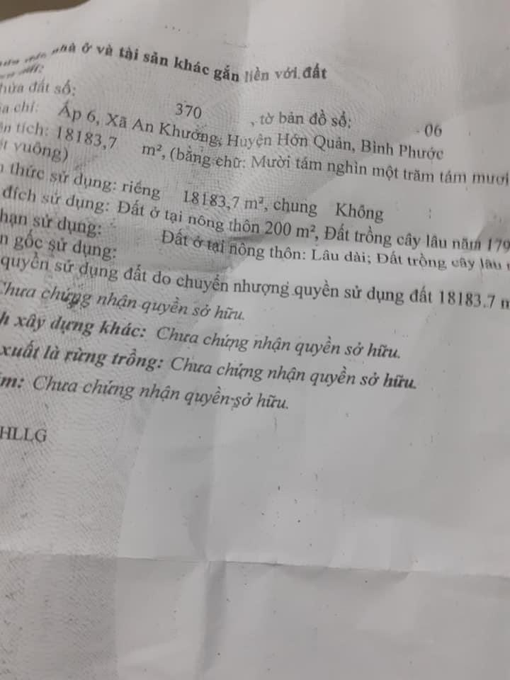 Bán 1,7ha điều bờ đập an khương giá 1,9ty