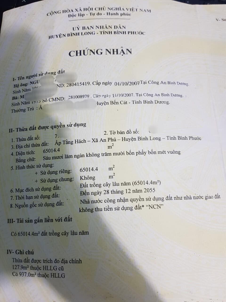 Bán 7ha cao su thuộc An Phú giá 820tr/ha