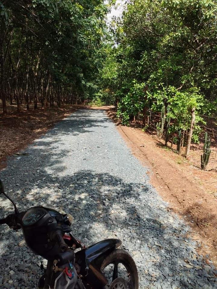 Bán 5,4 xào cao su có 200tc và 71m mt bê tông giá 450tr an khương
