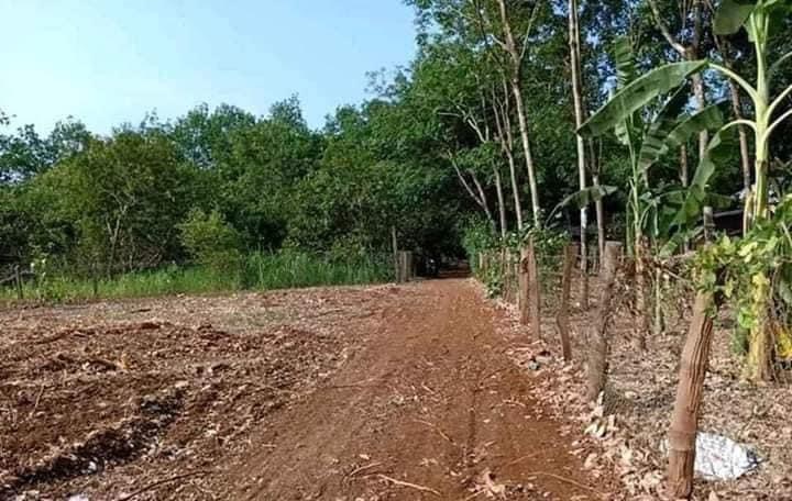 Bán đất Bình Long (Cách Chợ- Trường Học 600m) giá 260tr dt 5×50