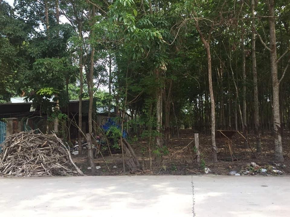 Bán đất ấp 4 Minh Hưng giá  1ty2 dt 10×50