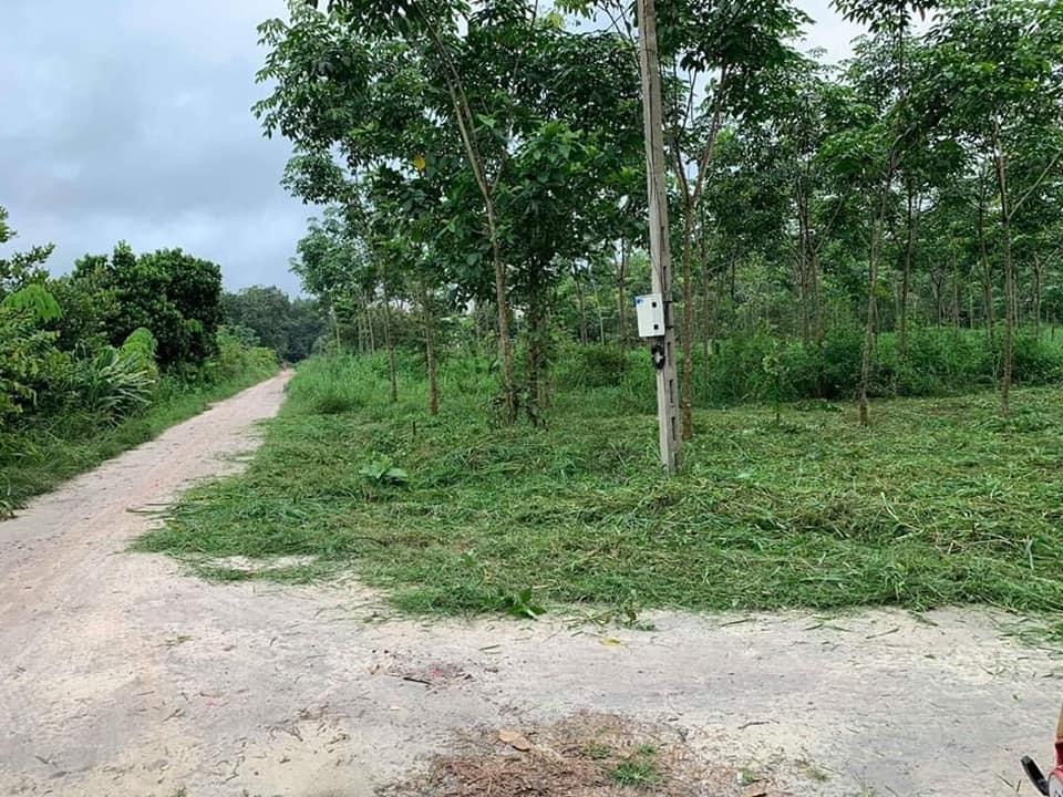 Bán đất ấp 4 Minh Hưng giá 600tr dt 6×41