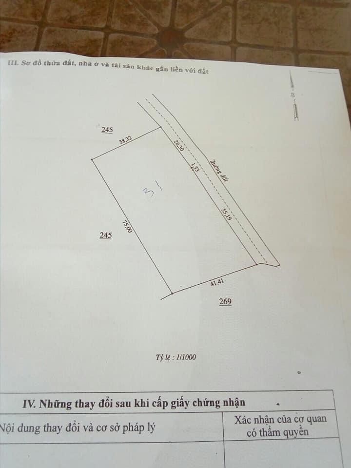 Hai sổ 1,2ha điều thanh an giá 950tr