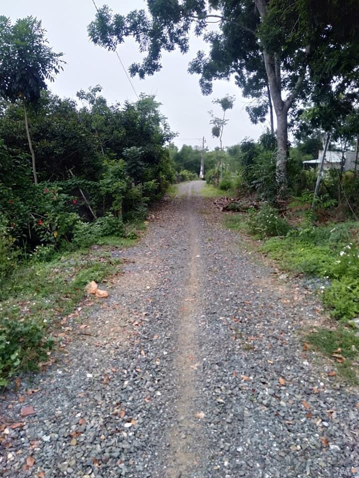 Bán đất Thanh Phú  ngay vườn rau giá 500tr dt 34×89
