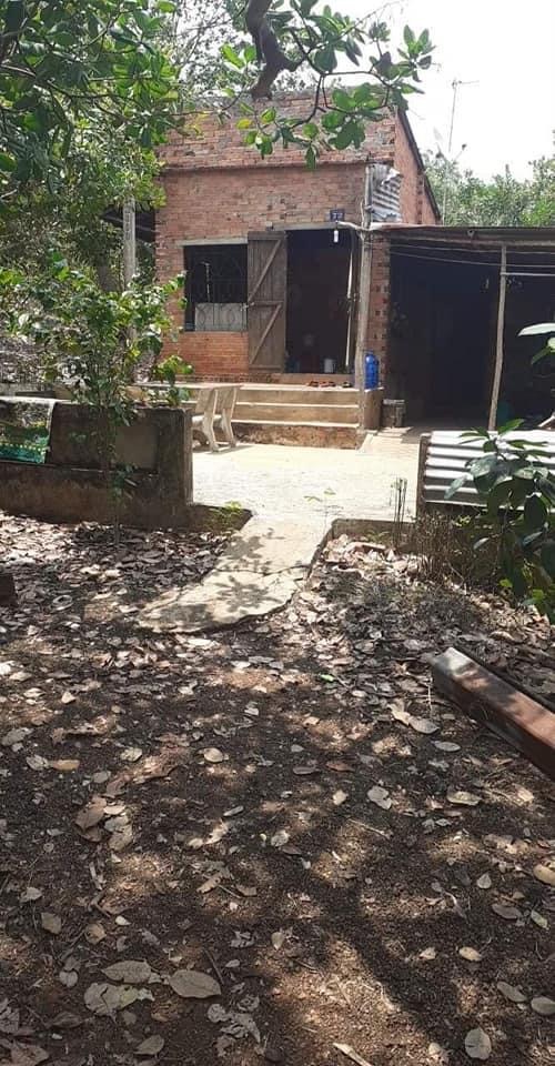 Bán 1,7ha điều bờ đập an khương giá 1,9ty