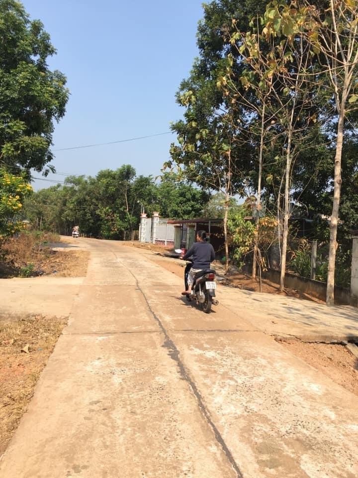 Bán đất bình Long Cay xăng Quỳnh trung vào 200M giá 585tr dt 10×35