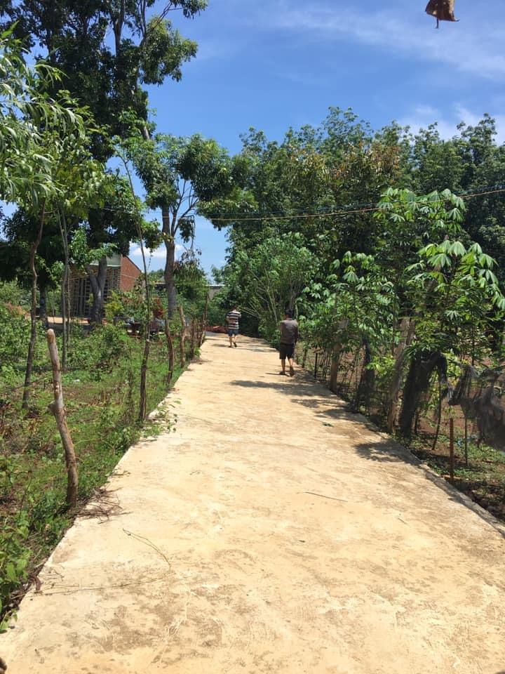 Bán đất Bình Long ngay Trung Tâm giá 350tr dt 5×38