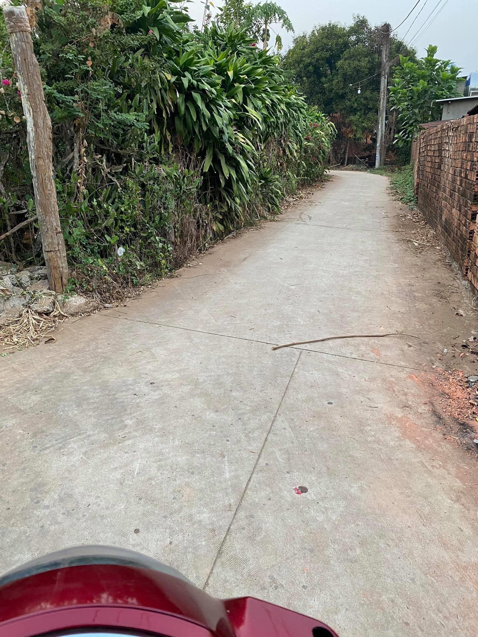 Bán đất Lộc Thái dt 10x32x100tc giá 490tr