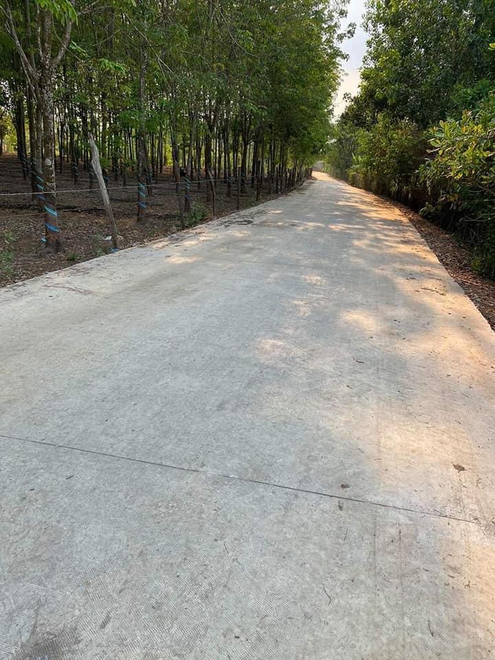 Bán lô đất 2mt 26×64+ 200tc. ( nở hậu 31m) cách nhựa liên xã 200m xã lộc điền giá 30tr/m