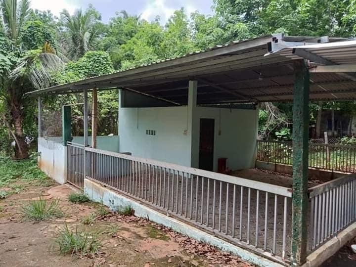 Bán đất. Đối diện ngân hàng Thann Phú giá 800tr( có thương lượng) dt 14×50