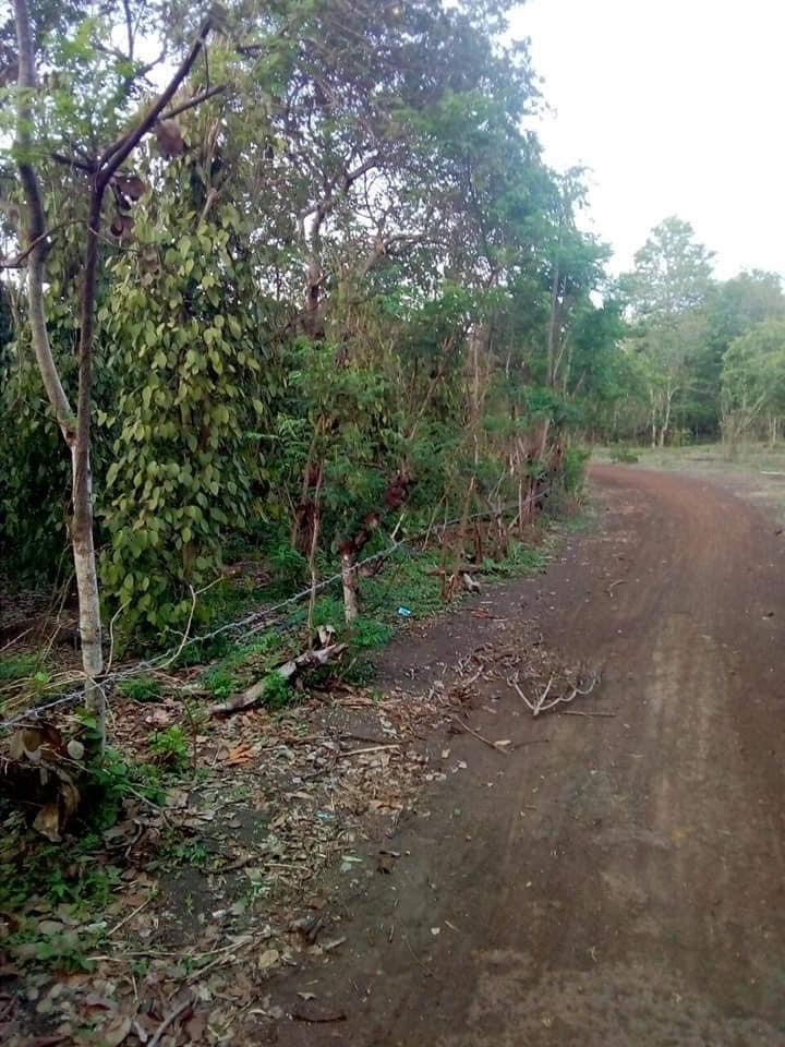Bán hơn 100m mt đất xã thanh an giá 370tr