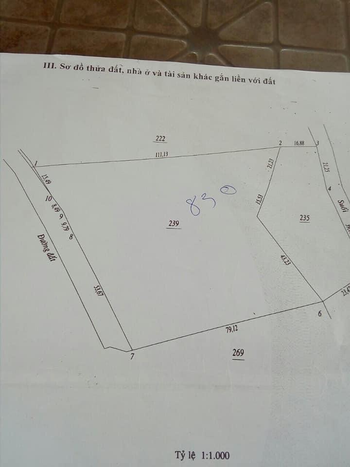 Hai sổ 1,2ha điều thanh an giá 950tr