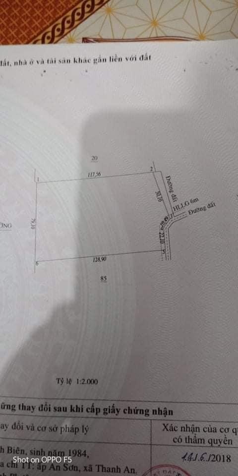 Bán 1 ha cây gió bầu an khương giá 850tr