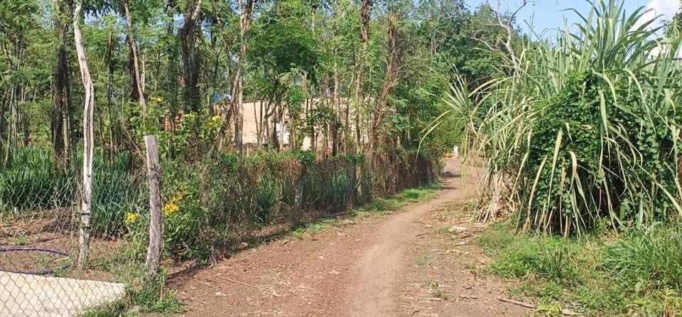 Bán đất Lộc Hiệp cách ql13 100m giá 28tr/m