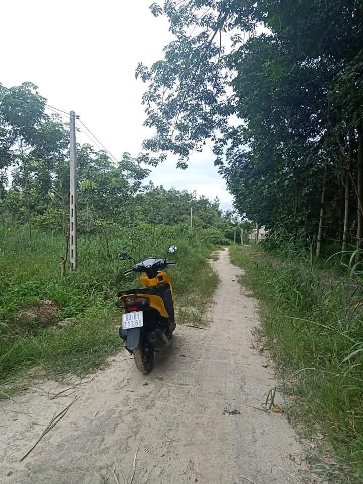 Bán đất Minh Hưng ấp 4 giá 590tr dt 6×40