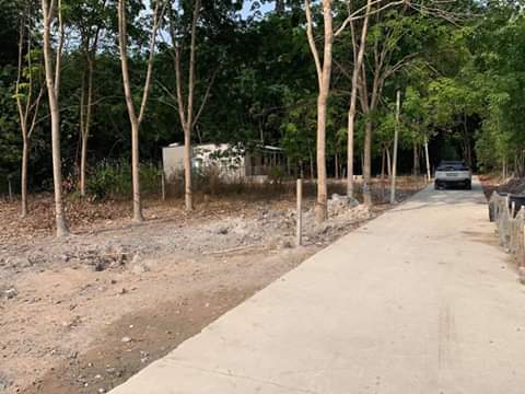 Bán đất ấp 3 thị trấn chơn thành giá 1ty070 dt 10×40