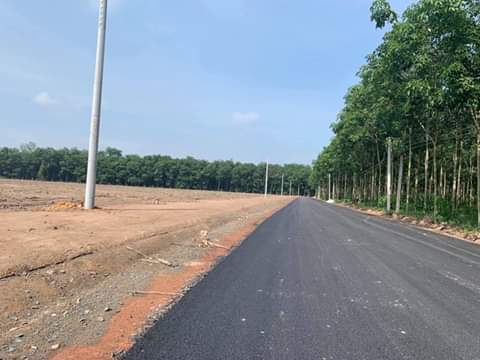 Bán đất khu phố 2 thị trấn chơn thành giá 570tr dt 5×38m