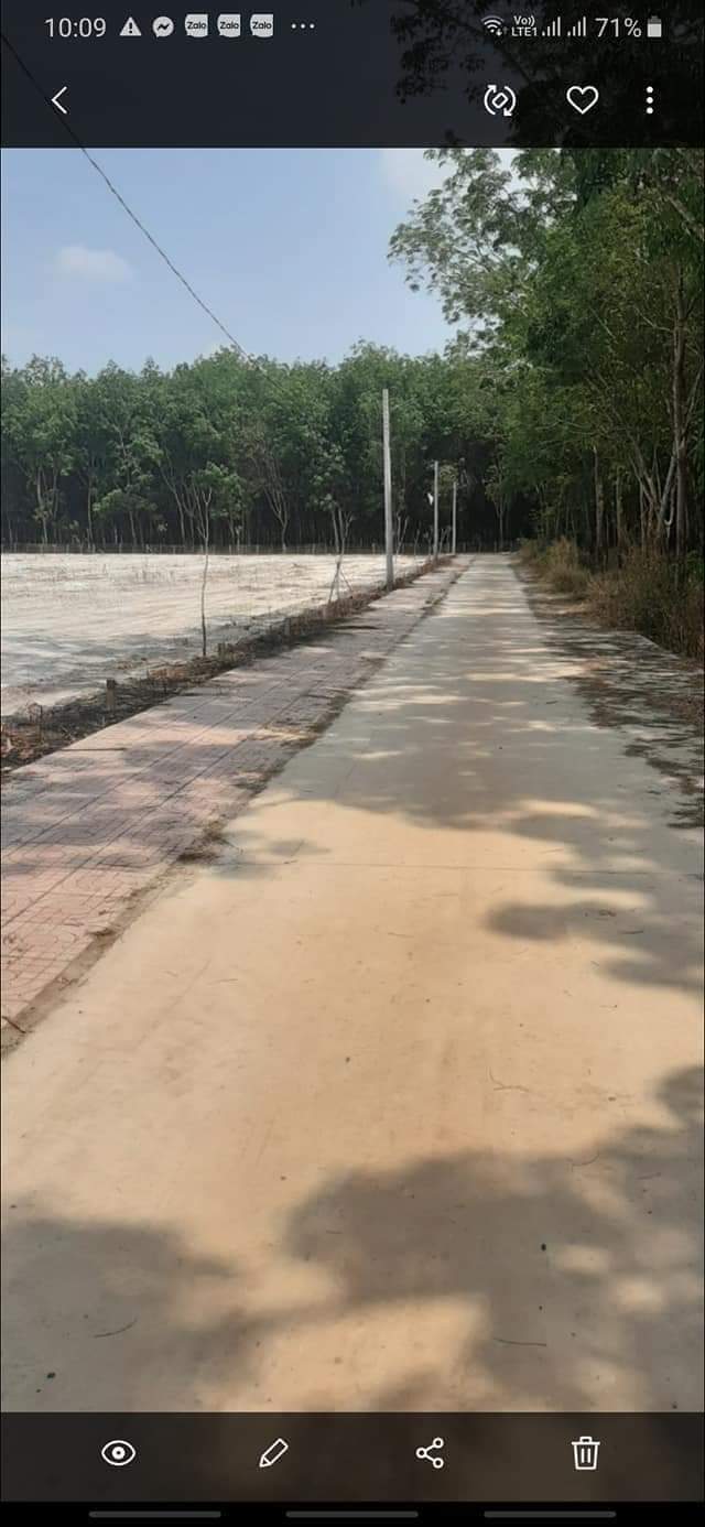Bán đất ấp 5 Minh Hưng giá 500tr dt 5×50