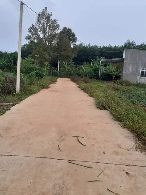 Bán đất khu phố Bình An phường An Lộc-BL giá 525tr  dt 10×31
