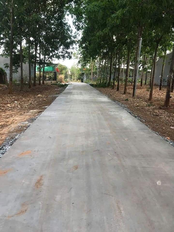 bán đất khu phố An Bình, phường An Lộc-BL. dt 6×26. giá 590tr