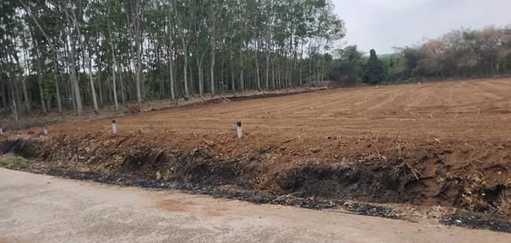 Bán đất thanh lương  bl giá 370tr dt 6×50