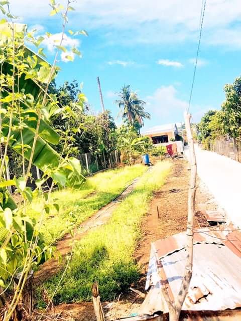 Bán đất Phú An phường An Lộc-BL giá 1ty670 dt 8×50