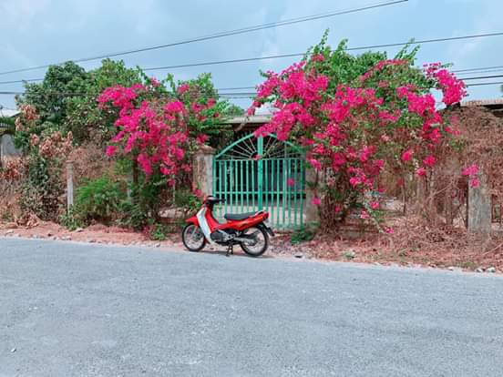 Bán đất ấp 3B, xã Minh Hưng- Chơn Thành. Dt 10×41. Giá 3 tỷ 050tr