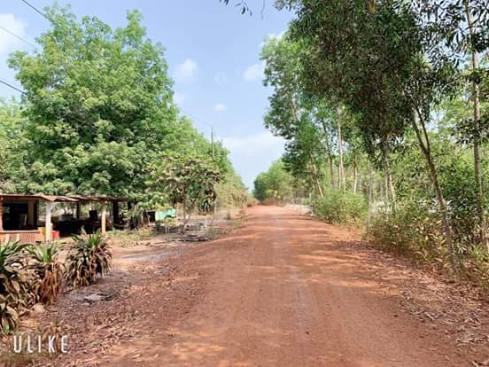 Bán đất ấp 5, xã Minh Hưng- Chơn Thành. Dt 6× 57. Giá 550tr