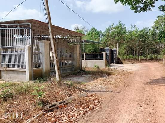 Bán đất ấp 6,xã minh hưng- chơn thành. Dt 6×33. Giá 430tr