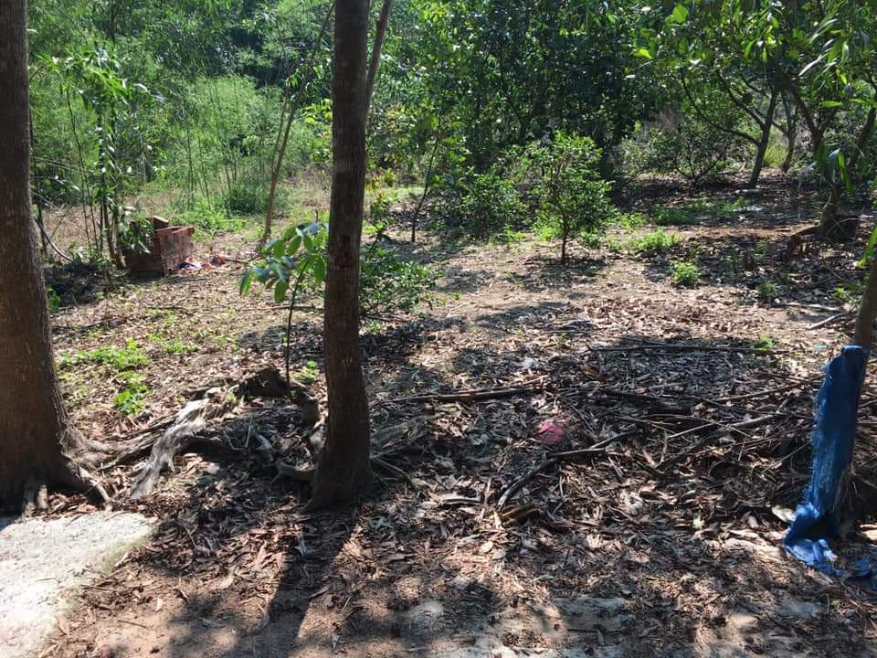 bán đất ấp 6, xã Minh hưng, chơn thành. dt 10×18. giá 310tr