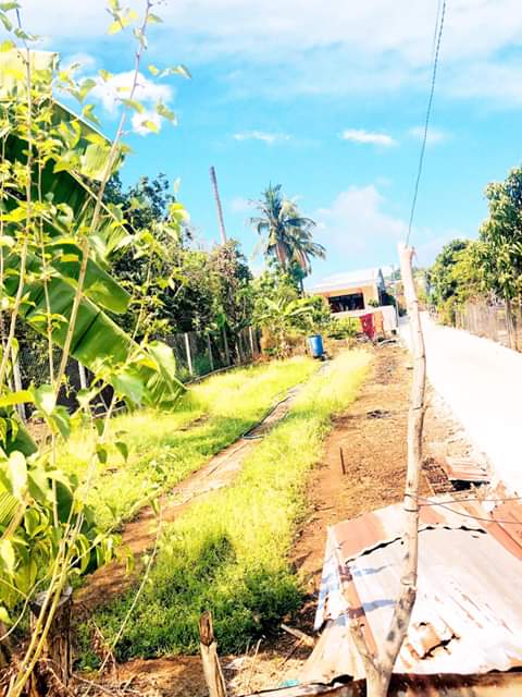 Bán đất Phú An phường An Lộc-BL giá 1ty650 dt 8×50