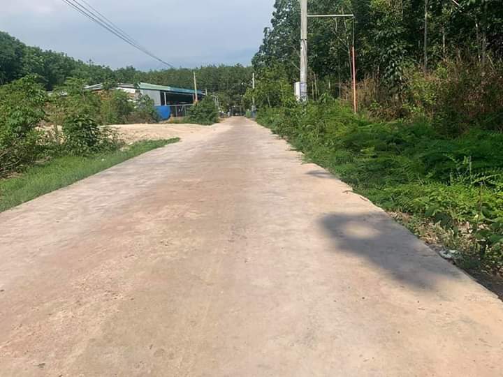 Bán đất  tổ 4b ấp 12 giá 1tỷ600 dt 10×59