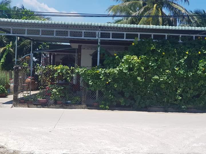 Bán nhà an lục long châu thành giá 1ty3 dt 10×21m2