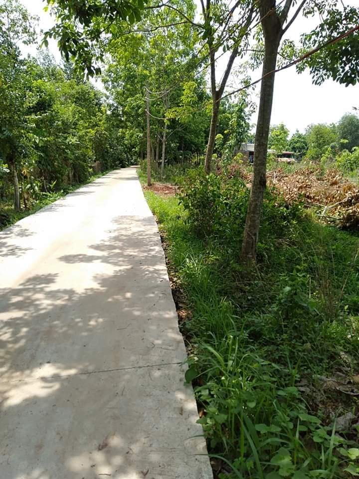 Bán đất khu phố Bình An phường An Lộc-BL giá 420tr dt 5×34