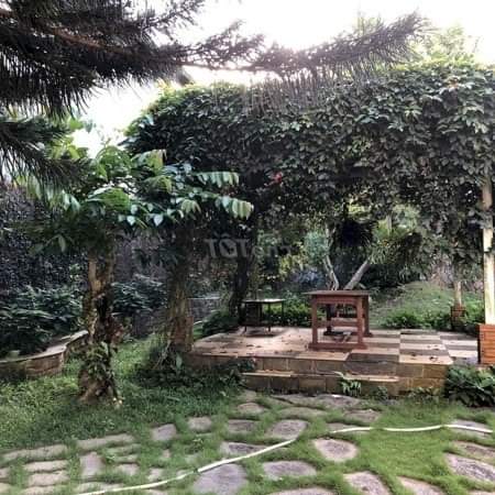 Bán nhà trần quốc toản B’Lao BL giá 6tỷ5 dt 14×60