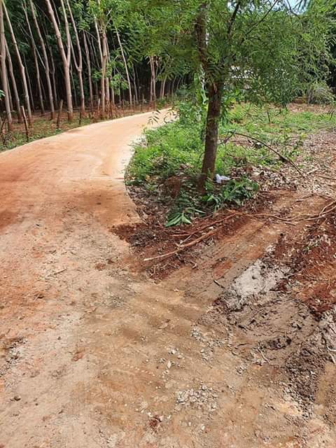 Bán đất ấp phú thành xã thanh phú giá 440tr dt 34×33