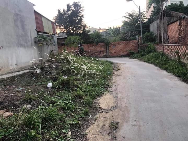kp5 trảng dài giá 790tr dt 5×17