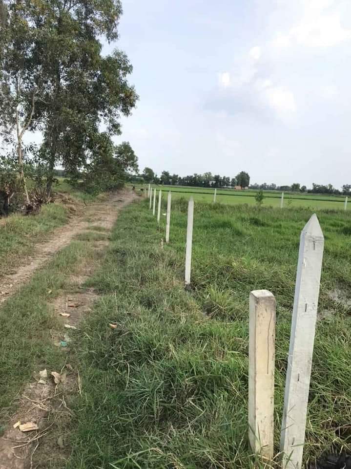 Bán đất tân an hội giá 2tỷ6 dt 28×58