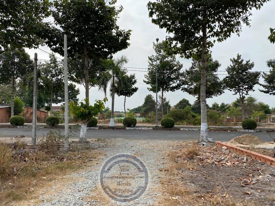 Bán đất kp Trung lợi tt Chơn Thành giá 730 dt 36×6