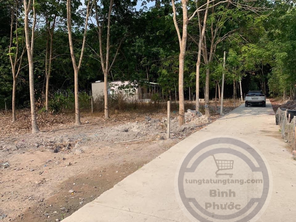 Bán đất ấp 3 Chơn Thành giá 1ty070 dt 10×40
