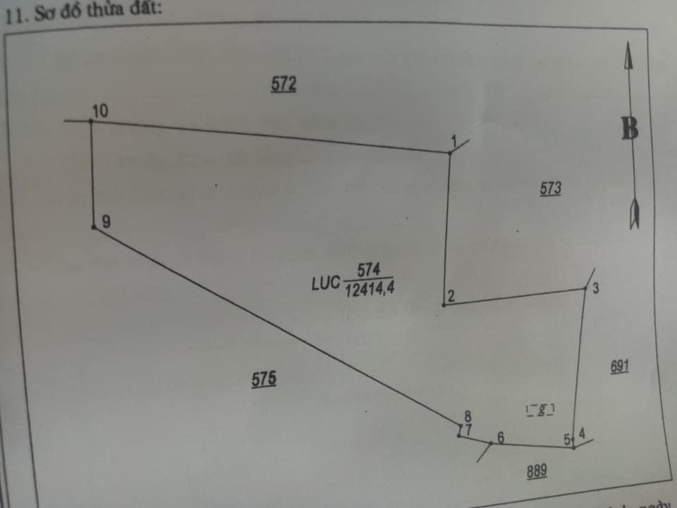 1,2ha cao su sẵn nhà lộc khánh giá 700tr