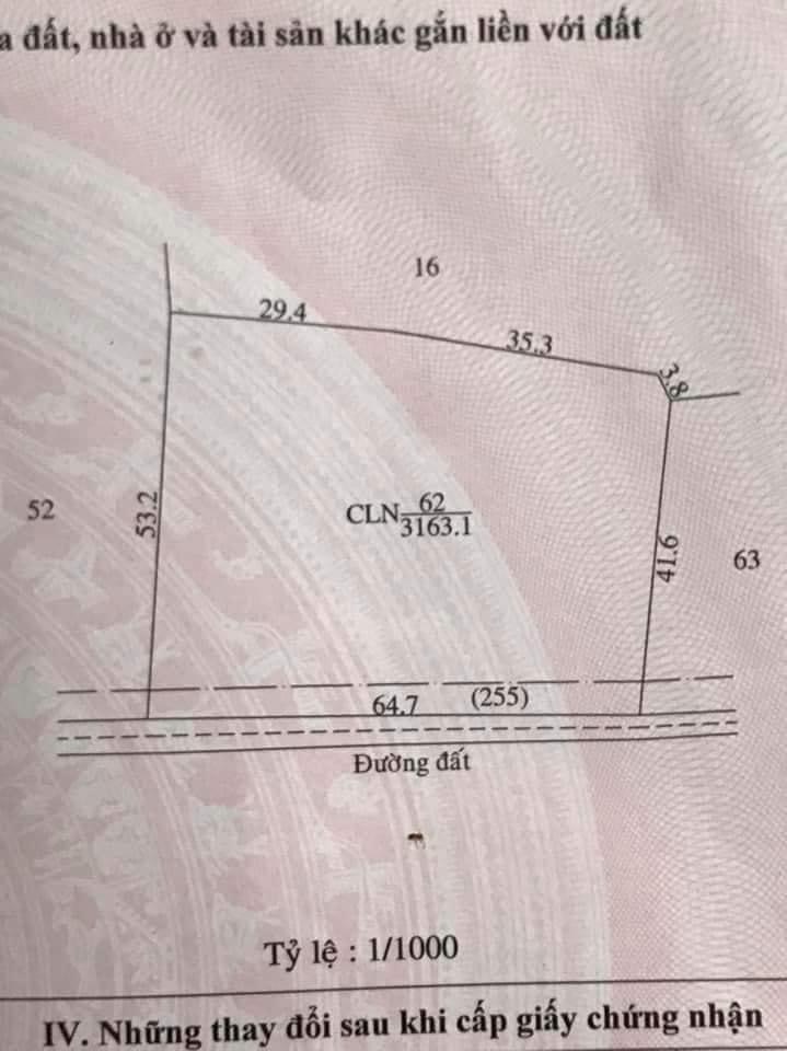 Bán 65m mặt tiền. 3,1 sào mà có 400 tr thôi. Quản lợi a, tân lợi